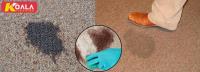 Carpet Cleaning Craigmore image 1